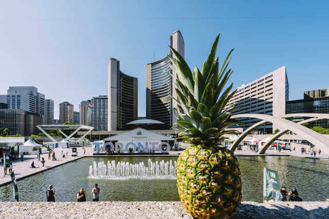 Toronto-Digital-Marketing-Agency-SimonWYHuang-Locations-New-City-Hall